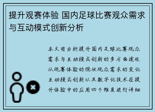 提升观赛体验 国内足球比赛观众需求与互动模式创新分析